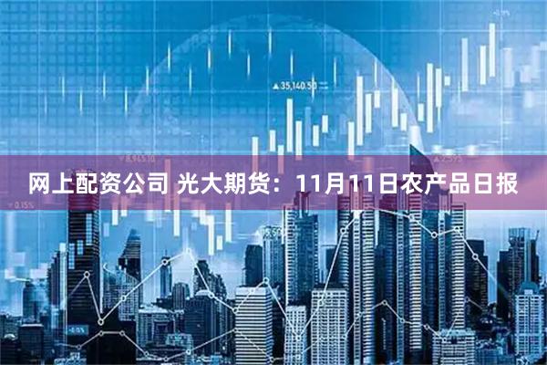 网上配资公司 光大期货：11月11日农产品日报