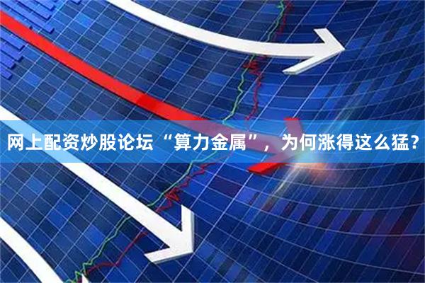 网上配资炒股论坛 “算力金属”，为何涨得这么猛？